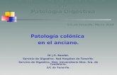 XXIII Curso de Actualización en Patología Digestiva