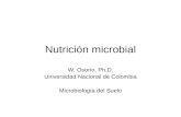 Nutrición microbial