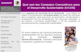 Qué son los Consejos Consultivos para el Desarrollo Sustentable (CCDS)