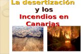 La desertización  y los Incendios en Canarias