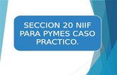 SECCION 20 NIIF PARA PYMES CASO PRACTICO.