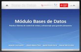 Módulo Bases de Datos