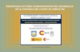 PRINCIPALES FACTORES CONDICIONANTES DEL DESARROLLO  DE LA COMARCA DEL CAMPO DE GIBRALTAR