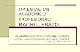 ORIENTACION ACADEMICO PROFESIONAL : BACHILLERATO