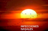 Infecciones nasales cronicas