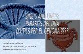 SINE’S AND LINE’S: PARÀSITS DEL DNA  O ÚTILS PER EL GENOMA ????
