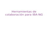 Herramientas de colaboración para IBA-NG