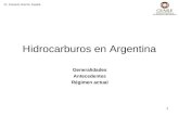 Hidrocarburos en Argentina