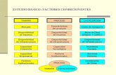 ESTUDIO BASICO: FACTORES CONDICIONANTES