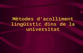 Mètodes d’acolliment lingüístic dins de la universitat