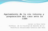 Agotamiento de la vía interna y preparación del caso ante la CIDH Javier La Rosa Calle