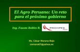 El Agro Peruano: Un reto para el próximo gobierno