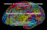 Modelado de complejidad en medicina, biología y neurociencia Neurociencia y complejidad