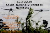 GLIFOSATO Salud humana y cambios genéticos