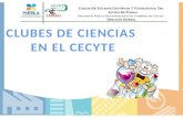 CLUBES DE CIENCIAS  EN EL CECYTE