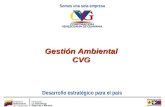 Gestión Ambiental CVG