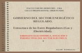 EMERGENCIA ECONÓMICA. SITUACIÓN Y PERSPECTIVAS DEL SECTOR ELÉCTRICO. 8