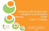 Sistema de Protección Integral a la Primera Infancia                     Chile Crece Contigo