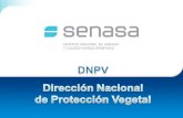 DNPV Dirección Nacional de Protección Vegetal