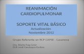 REANIMACIÓN CARDIOPULMONAR SOPORTE VITAL BÁSICO Actualización  Noviembre 2012