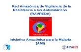 Región Amazónica 91% de los casos de  las Américas 87% de la mortalidad
