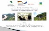 República Dominicana Viceministerio de Gestión  Ambiental Dirección de Cambio Climático y MDL