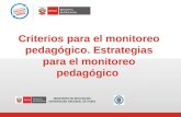 Criterios para el monitoreo pedagógico. Estrategias para el monitoreo pedagógico