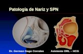 Patología de Nariz y SPN