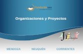 Organizaciones y Proyectos