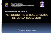 Universidad de Chile Facultad de Odontología Departamento de  Odontología Conservadora