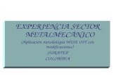 EXPERIENCIA SECTOR METALMECÁNICO (Aplicación metodología WISE OIT con modificaciones) SURATEP