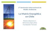 2° Seminario Internacional de Medio Ambiente La Matriz Energética en Chile Flavia Liberona C.