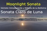 Moonlight Sonata Siéntate Cómodamente y Disfruta de La Bellísima