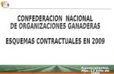 CONFEDERACION  NACIONAL DE ORGANIZACIONES GANADERAS ESQUEMAS CONTRACTUALES EN 2009
