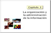 La organización y la administración de la información