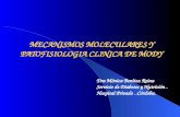 MECANISMOS MOLECULARES Y PATOFISIOLOGIA CLINICA DE MODY