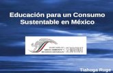 Educación para un Consumo Sustentable en México