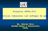 Proyecto CEPAL/GTZ  “Políticas laborales con enfoque de género”