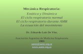 Dr. Eduardo Luis De Vito. Asociación Argentina de Medicina Respiratoria 2005 aamr @aamr.ar
