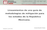 Lineamientos de una guía de metodologías de mitigación para los estados de la República Mexicana.