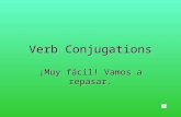 Verb Conjugations
