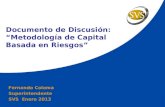 Documento de Discusión:  “Metodología de Capital Basada en Riesgos”
