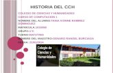 HISTORIA  DEL CCH