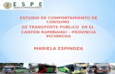 ESTUDIO DE  COMPORTAMIENTO  DE CONSUMO  DE TRANSPORTE PUBLICO  EN EL
