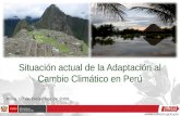 Situación actual de la Adaptación al Cambio Climático en  Perú