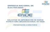 EMPRESA NACIONAL DE ELECTRICIDAD
