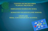 COLEGIO DE BACHILLERES      “TLAHUAC PALNTEL16”   HERNANDEZ RODRIGUES SONIA