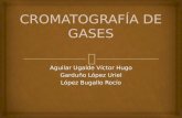 CROMATOGRAFÍA DE GASES