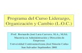 Programa del Curso Liderazgo, Organización y Cambio (L.O.C.)