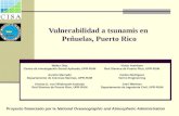 Vulnerabilidad  a tsunamis en  Peñuelas , Puerto Rico